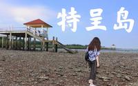 只需16元，来一个与众不同的海岛小旅行 |特呈岛