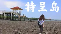 只需16元，来一个与众不同的海岛小旅行 |特呈岛
