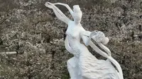 2023-04-01 滕州刘村梨园 追上个梨花的尾巴