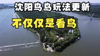 沈阳鸟岛风景区玩法更新，各种珍禽飞鸟近距离互动，又有好玩的了