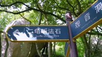 普陀奇石   二龟听法