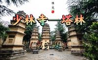 【游记】国庆节带大家游玩少林寺塔林（第六集）