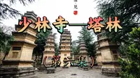 【游记】国庆节带大家游玩少林寺塔林（第六集）