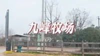 九峰牧场