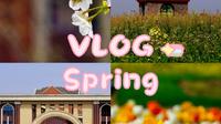 Vlog｜女大学生的日常｜Spring｜杭州湾海上花田景区