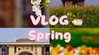 Vlog｜女大学生的日常｜Spring｜杭州湾海上花田景区