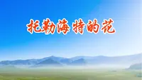 托勒海特的花