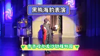黑龙江齐齐哈尔龙沙动植物园 黑熊海豹表演