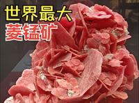 【展馆】230927湖南省地质博物馆