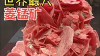 【展馆】230927湖南省地质博物馆