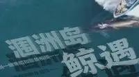 【新闻调查】涠洲岛鲸遇