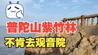 【普陀山景区】实拍普陀山紫竹林景区，紫竹禅林、不肯去观音院、潮音洞，景色好