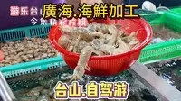 [自游行乐]游乐台山.自驾.广海镇.渔人码头.海鲜加工.美食2024