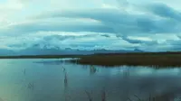 美丽的野鸭湖湿地