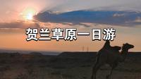 贺兰草原一日游
