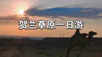 贺兰草原一日游