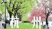 西湖白堤 | 请允许我用一首西湖专属BGM带你享受杭州春天
