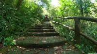 峨眉山徒步 五显岗-雷洞坪