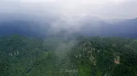 |佛山三水|南丹山森林王国