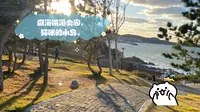 威海喂海公园，猫咪的海边半岛。