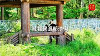 熊猫起源地邓池沟，宝兴蜂桶寨，大熊猫国际溯源营地，探秘国家公园， 追溯熊猫之源。