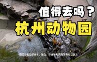 杭州动物园值得去吗？位于杭州西湖景区边上的5A级景区，中国七大动物园之一！杭州动物园攻略来了！出发前必看！4K