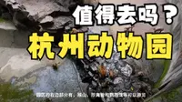 杭州动物园值得去吗？位于杭州西湖景区边上的5A级景区，中国七大动物园之一！杭州动物园攻略来了！出发前必看！4K