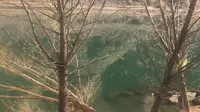 甘肃白银区水川镇黄河边风景
