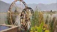 保山龙陵县勐糯镇大寨景区湿地公园