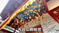天台山桐柏宫，一个视频看完全真派南宗祖庭里都供了哪些神仙大能
