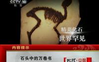 【地理中国】石头中的万卷书(山旺古生物群)【2011】【CCTV10】