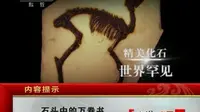 【地理中国】石头中的万卷书(山旺古生物群)【2011】【CCTV10】