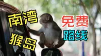 【三亚攻略】谁还在花钱去南湾猴岛和呆呆岛啊？帮你们试过了，超好玩！