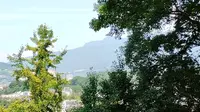 雅安丨张家山公园