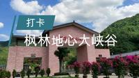 「打卡」枫林地心大峡谷