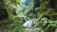怀化新晃夜郎大峡谷，15公里长的幽谷溪水潺潺，避暑好地方