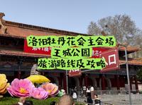 洛阳牡丹花会主会场之一，王城公园赏牡丹花攻略及旅游路线，第一次来洛阳看牡丹花的朋友一定要看！