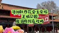 洛阳牡丹花会主会场之一，王城公园赏牡丹花攻略及旅游路线，第一次来洛阳看牡丹花的朋友一定要看！