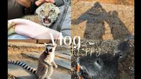 90后宝妈|裸辞|带娃|旅行vlog|动物园|2025年画上句号，2026年出发～