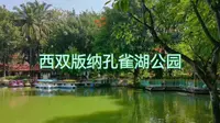 云南西双版纳孔雀湖公园，市中心的免费公园