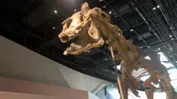 2025年7月19日 武汉1日游②-武汉园博园/武汉自然博物馆
