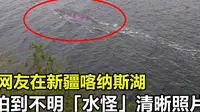 网友在新疆喀纳斯湖，拍到不明“水怪”清晰照片，它究竟是什么？