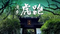 【漫步杭州】虎跑公园，江南丛林秘境，人与自然的和谐共生！