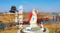 盐城龙冈桃花源等你来，相声、评书、马戏、舞蹈精彩表演不断。