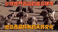 西藏直贡梯寺近距离观看天葬全过程，感悟生命的意义，胆小误入