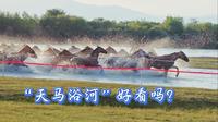 “天马浴河”好看吗？ 昭苏湿地公园房车露营记