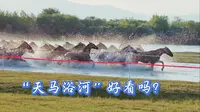 “天马浴河”好看吗？ 昭苏湿地公园房车露营记
