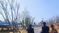 湖北荆门爱飞客极客公园，几十种真飞机停在这里，这简直太壮观了