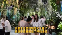 内蒙古自然博物馆又上新了，把热带雨林搬到了呼和浩特