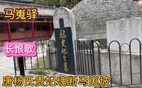 唐杨贵妃墓位于陕西省兴平马嵬驿，马嵬驿乃杨贵妃魂断之处，白居易《长恨歌》里有描述。